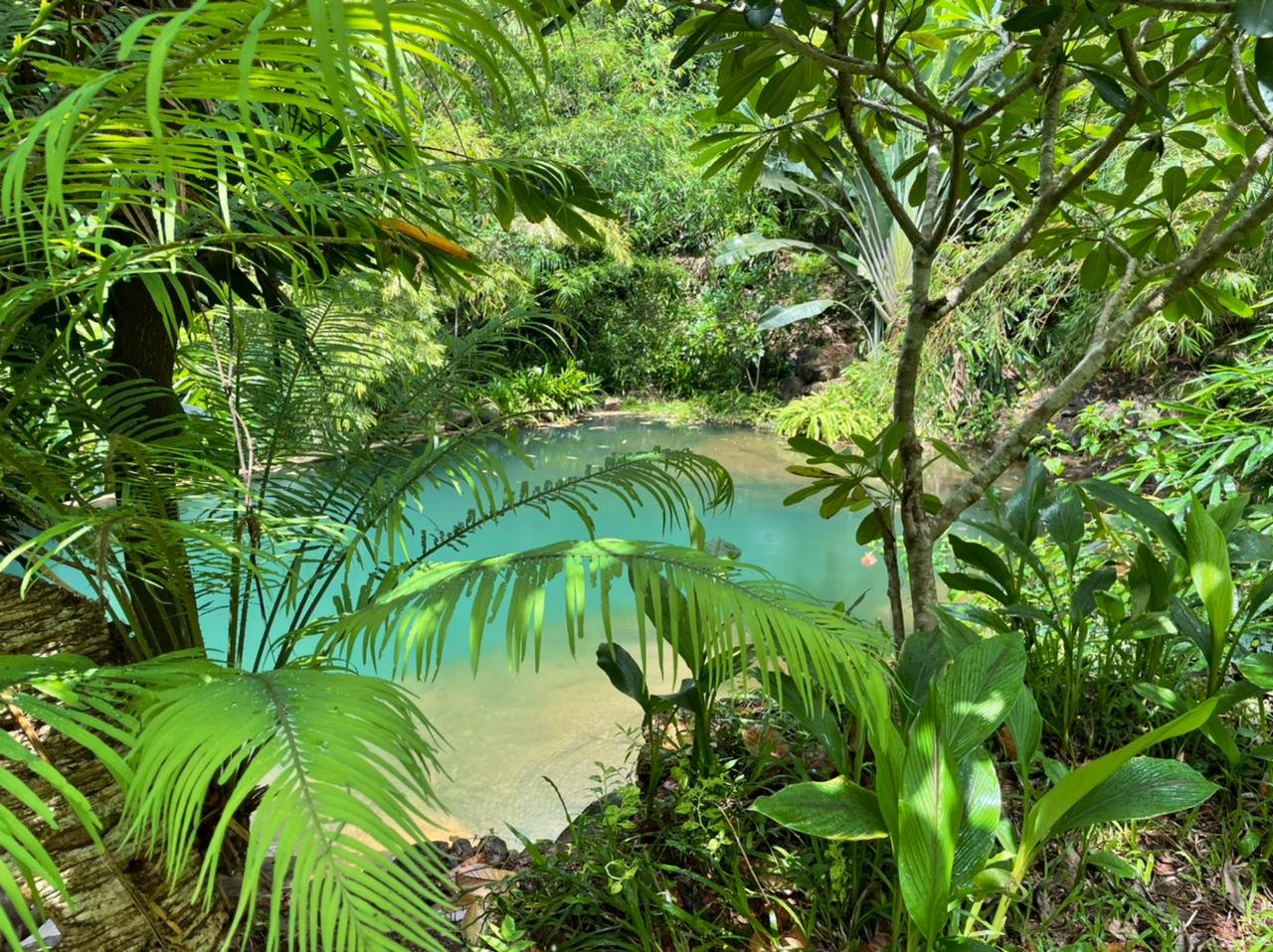 Greenara Uplifting Sustainable Living Lessons From GreenAra