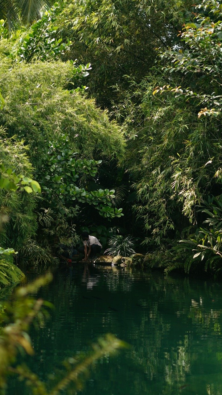 Greenara Uplifting Sustainable Living Lessons From GreenAra